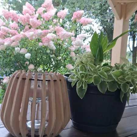 Goscinne U Maksa Appartement